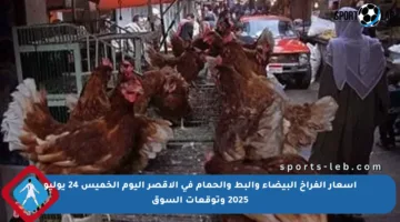 أسعار الفراخ البيضاء والبط والحمام في الأقصر اليوم الخميس 24 يوليو 2025 وتوقعات السوق
